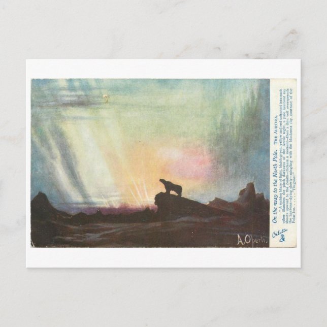 Ein Bär auf dem Weg Postkarte (Vorderseite)