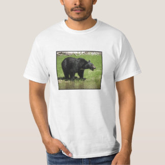 Ein Bär Grundrechte Shirt
