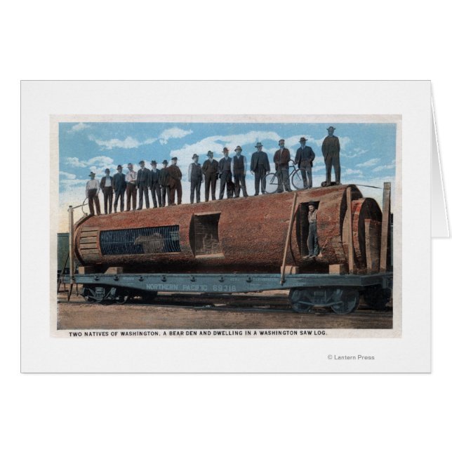 Ein Bärenkäfig und Wohnort in einem riesigen Sägep (Vorderseite (Horizontal))