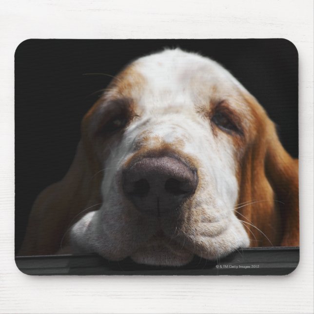 Ein Basset Hound ruht sich den Kopf Mousepad (Vorne)