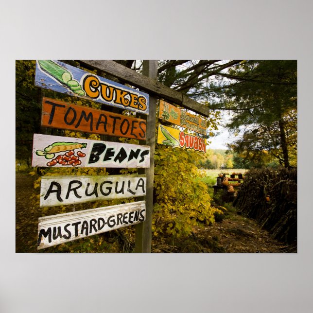 Ein Bauernstand in Holderness, New Hampshire. Poster (Vorne)