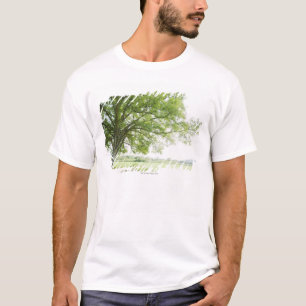 Ein Baum auf dem Gebiet des Grases T-Shirt
