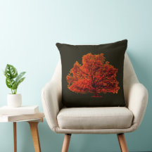 Ein Baum, der den ganzen Tag Gott ansieht.