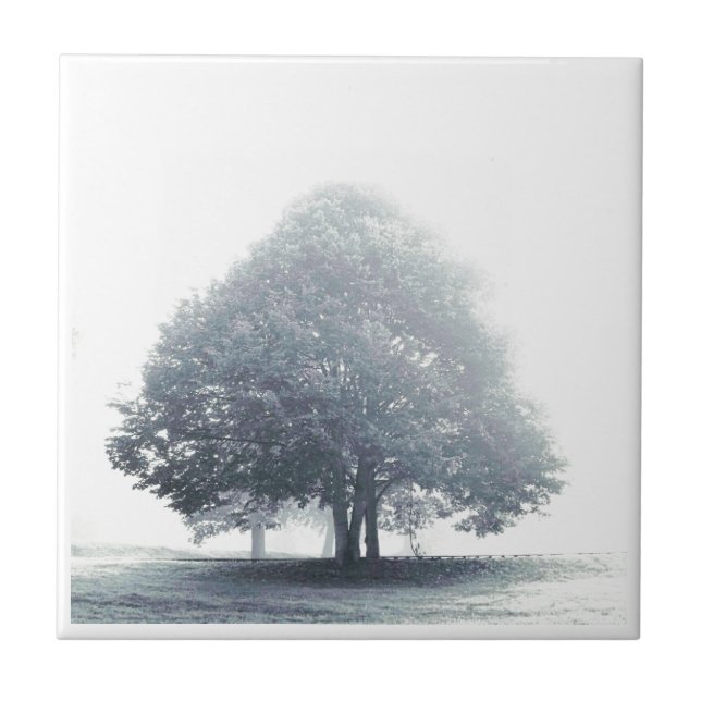 Ein Baum im Nebel Fliese (Vorderseite)