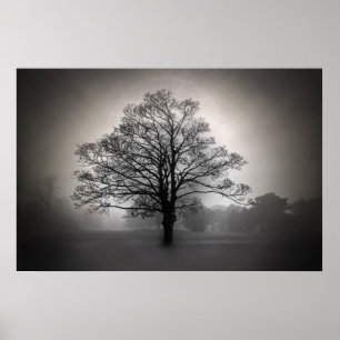 Ein Baum im Nebel Poster