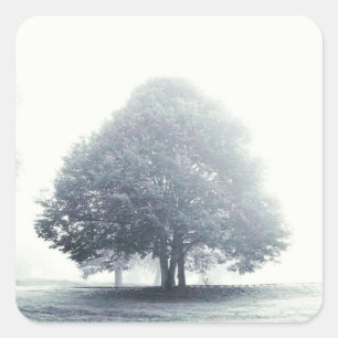 Ein Baum im Nebel Quadratischer Aufkleber