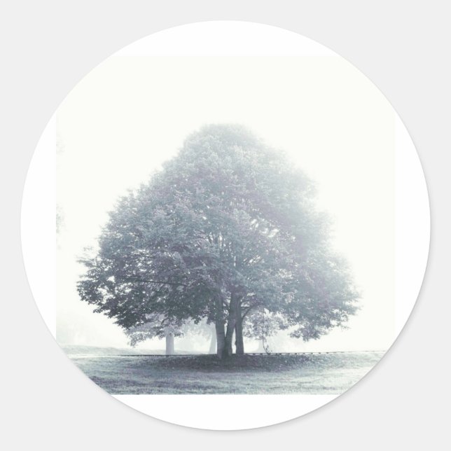 Ein Baum im Nebel Runder Aufkleber (Vorderseite)