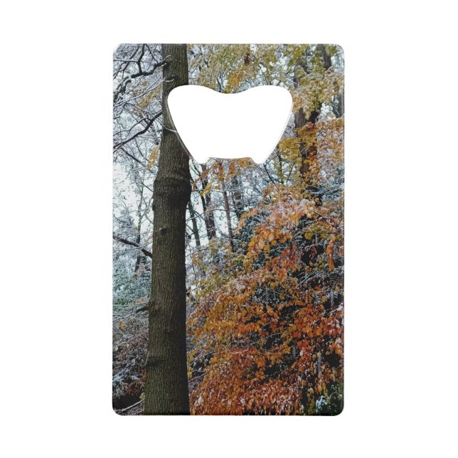 Ein Baum im Wald Geldbeutel Flaschenöffner (Vorderseite)