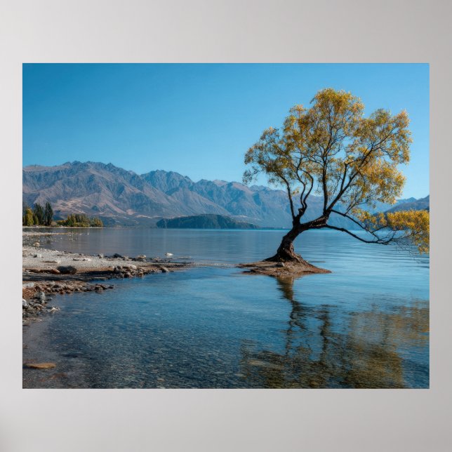 Ein Baum in einem See Poster (Vorne)