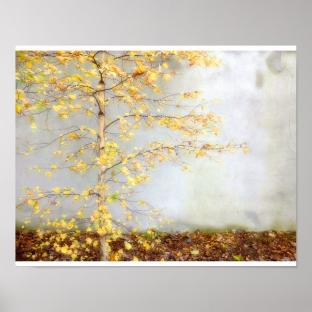 Ein Baum Poster (Vorne)