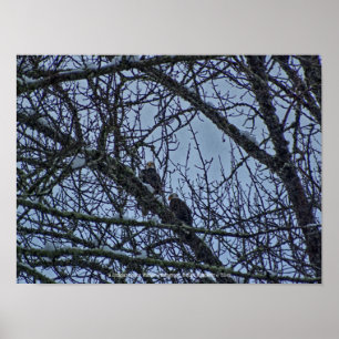 Ein Begleiter für den Winter Poster