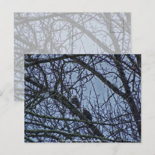 Ein Begleiter für den Winter Postkarte