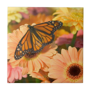 Ein beklagender Schmetterling Fliese