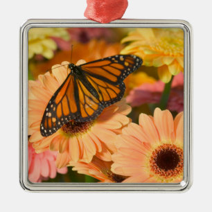 Ein beklagender Schmetterling Ornament Aus Metall