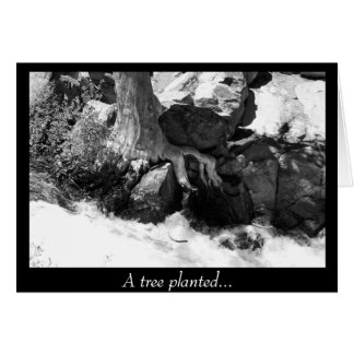 Ein bepflanzter Baum...