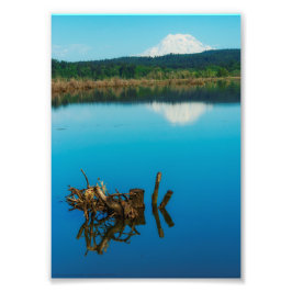 Ein Bergrestaub über einer Hecke Fotodruck