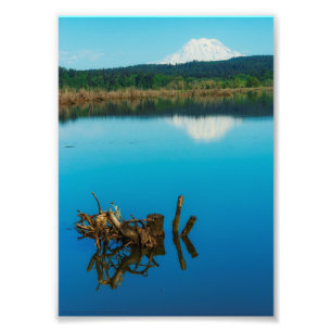 Ein Bergrestaub über einer Hecke Fotodruck