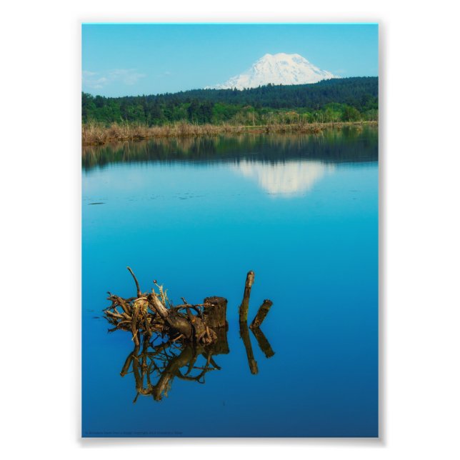 Ein Bergrestaub über einer Hecke Fotodruck (Vorne)