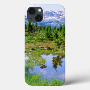 Ein Bergsee im Hinterland von Vancouver Island Case-Mate iPhone Hülle