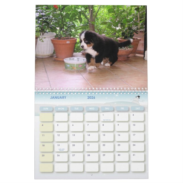 Ein Berner Jahr Kalender (Jan 2026)