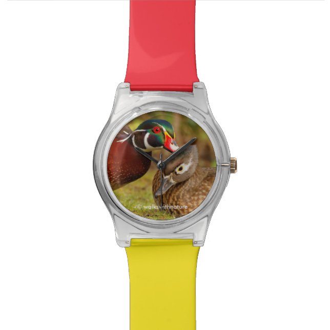 Ein Berührungsmoment zwischen Holzenten im Wald Uhr (Nahaufnahme)