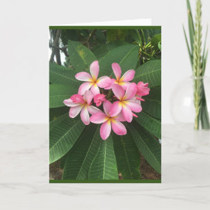 EIN *BESONDERER GEBURTSTAG* FÜR EINE *BESONDERE PE KARTE