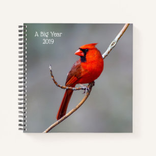 Ein Big Year Vogelbeobachtung Kardinal SpiralNoteb Notizbuch