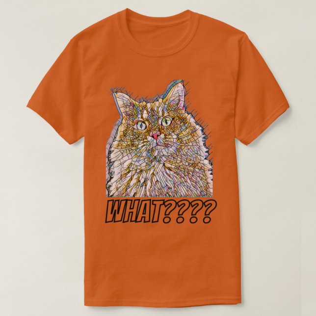 Ein Bild einer Katze mit einem überraschten Blick  T-Shirt (Design vorne)