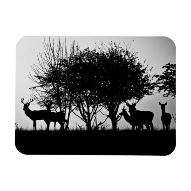 Ein Bild eines Hirsches im Morgennebel Magnet (Horizontal)