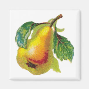 Ein Birnenmagnet Magnet