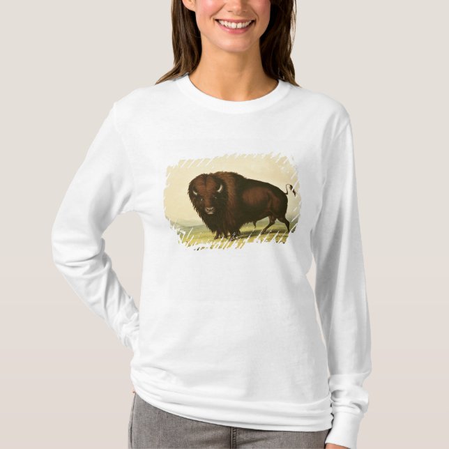 Ein Bison, c.1832 T-Shirt (Vorderseite)