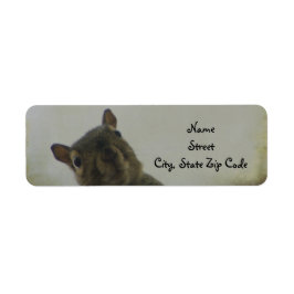 Ein bisschen irreführend