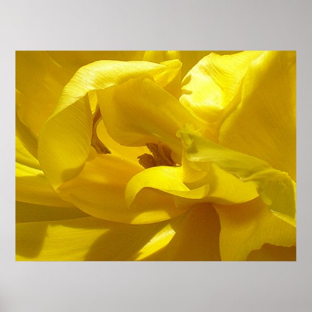 Ein bisschen piep poster (Vorne)