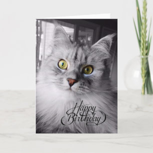 Ein bisschen Zauberkarte zum Geburtstag Karte