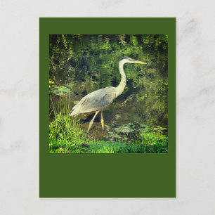 Ein blauer Held Postkarte