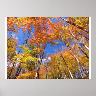 Ein Blick auf den Fall Poster