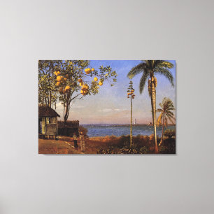 Ein Blick in die Bahamas von Bierstadt Albert. Leinwanddruck