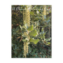 Ein blühender Valentinstag! Postkarte