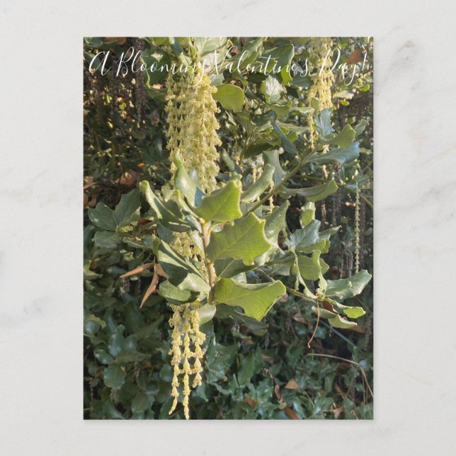 Ein blühender Valentinstag! Postkarte (Vorderseite)