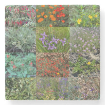 Ein blühendes Kalifornien: Doppelregen 2020