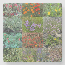 Ein blühendes Kalifornien: Doppelregen 2020 Steinuntersetzer