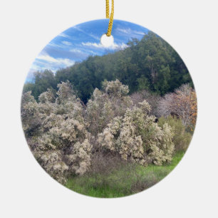 Ein blühendes Kalifornien: Eine blühende kaliforni Keramik Ornament