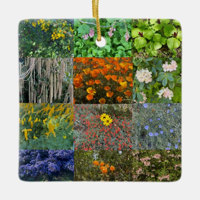 Ein blühendes Kalifornien: Farbfeier 2021 Keramikornament (Vorderseite)