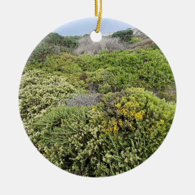 Ein blühendes Kalifornien Keramik Ornament (Vorne)