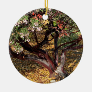 Ein blühendes Kalifornien: Manzanita Keramik Ornament