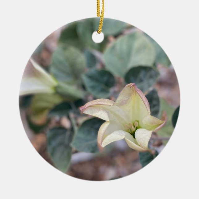 Ein blühendes Kalifornien: Sacred Datura Keramik O Keramik Ornament (Vorne)