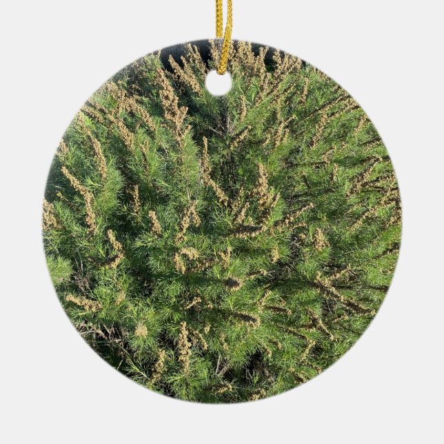 Ein blühendes Kalifornien: Sagebrush Keramik Ornam Keramik Ornament (Vorne)