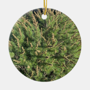 Ein blühendes Kalifornien: Sagebrush Keramik Ornam Ornament