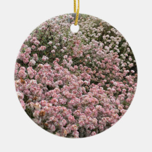 Ein blühendes Kalifornien: Sea Cliff Buckwheat Keramik Ornament