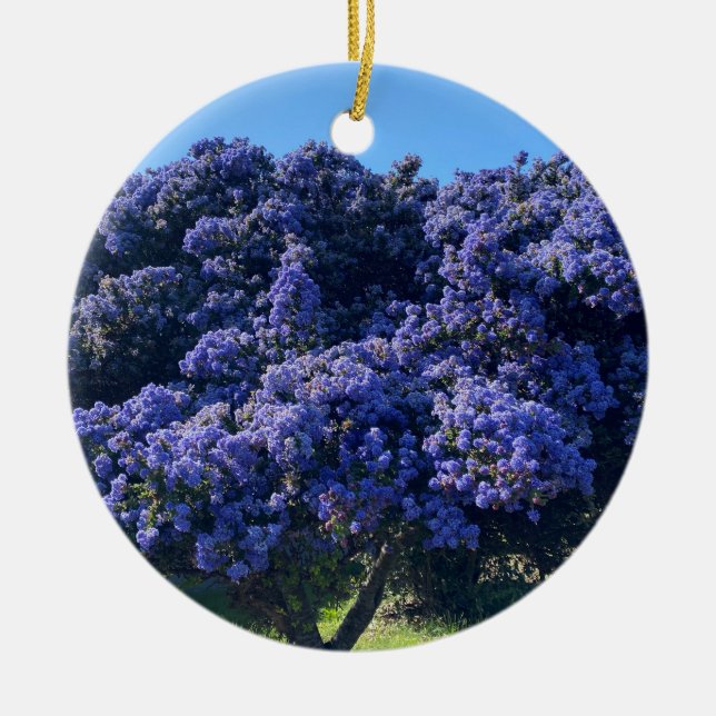 Ein blühendes Kalifornien: Wild Lilac Keramik Ornament (Vorne)